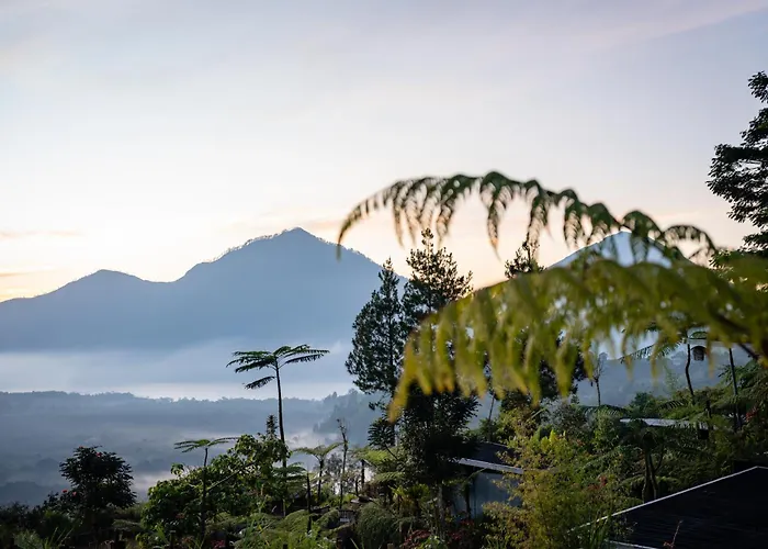 Lava Mist Kintamani